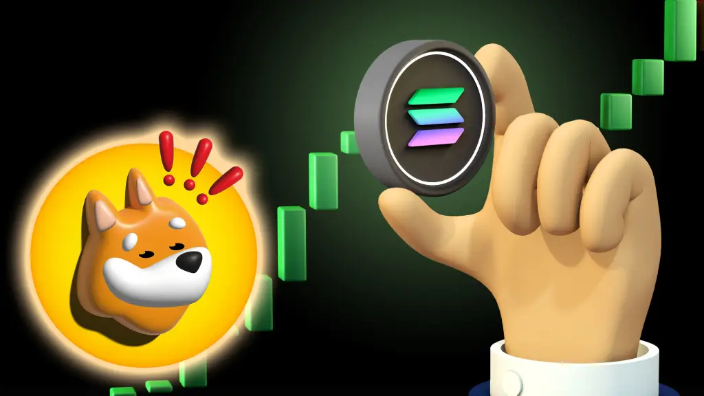 bonk coin solana