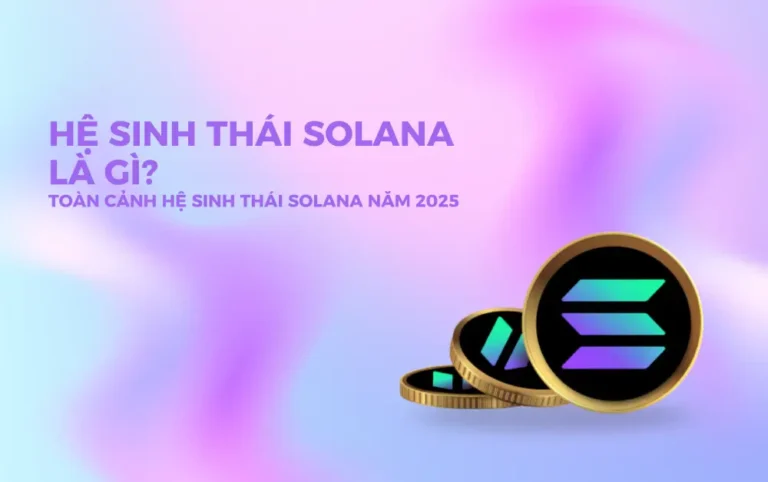 Hệ sinh thái Solana là gì? Toàn cảnh hệ sinh thái Solana năm 2025